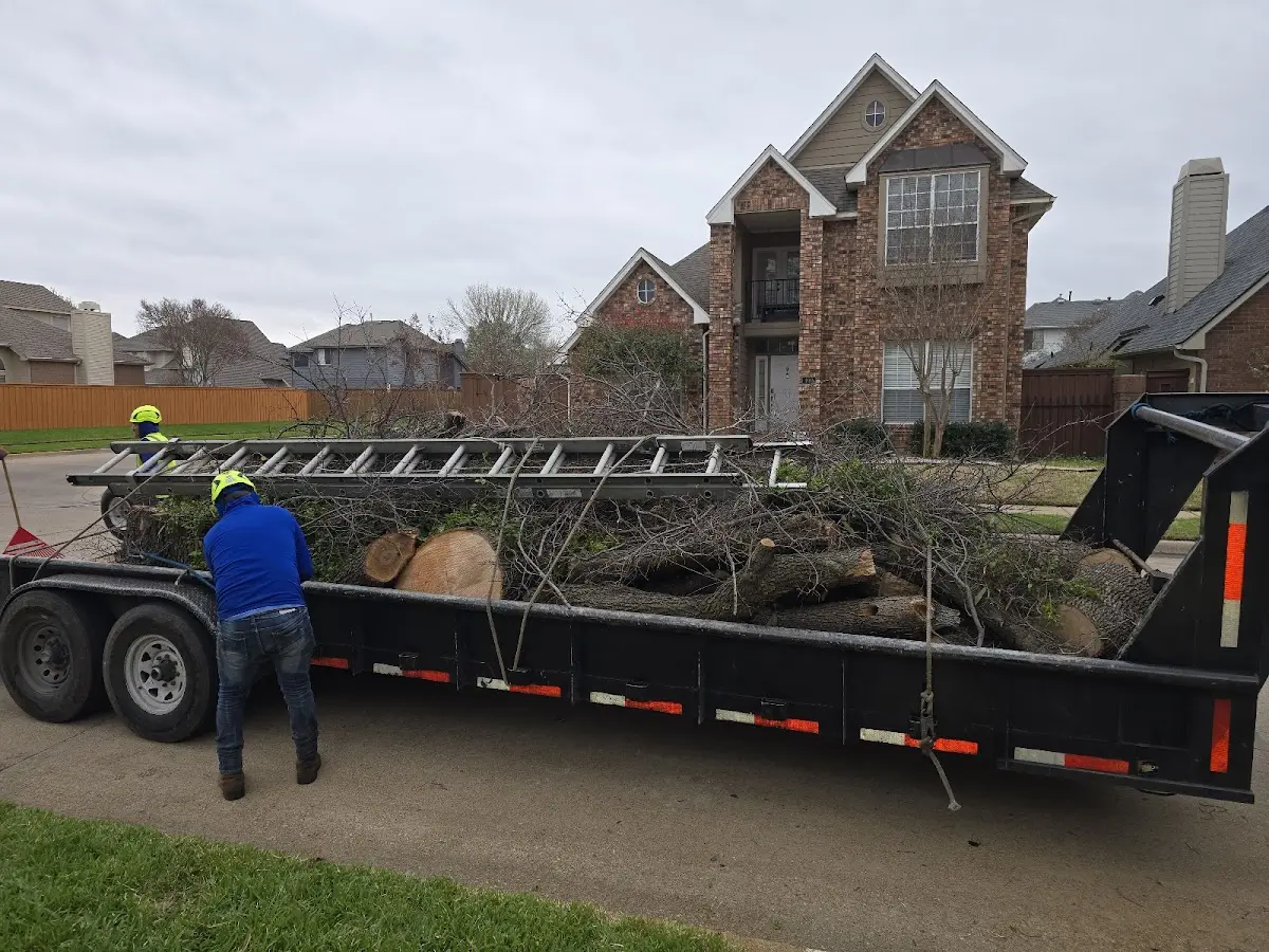 Expert Lot Clearing with proper safety equipment in Currie